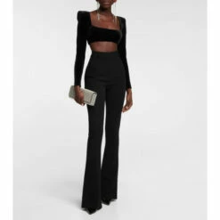 Brand new 🎁 Alex Perry Haley Velvet Crop Top ❤️